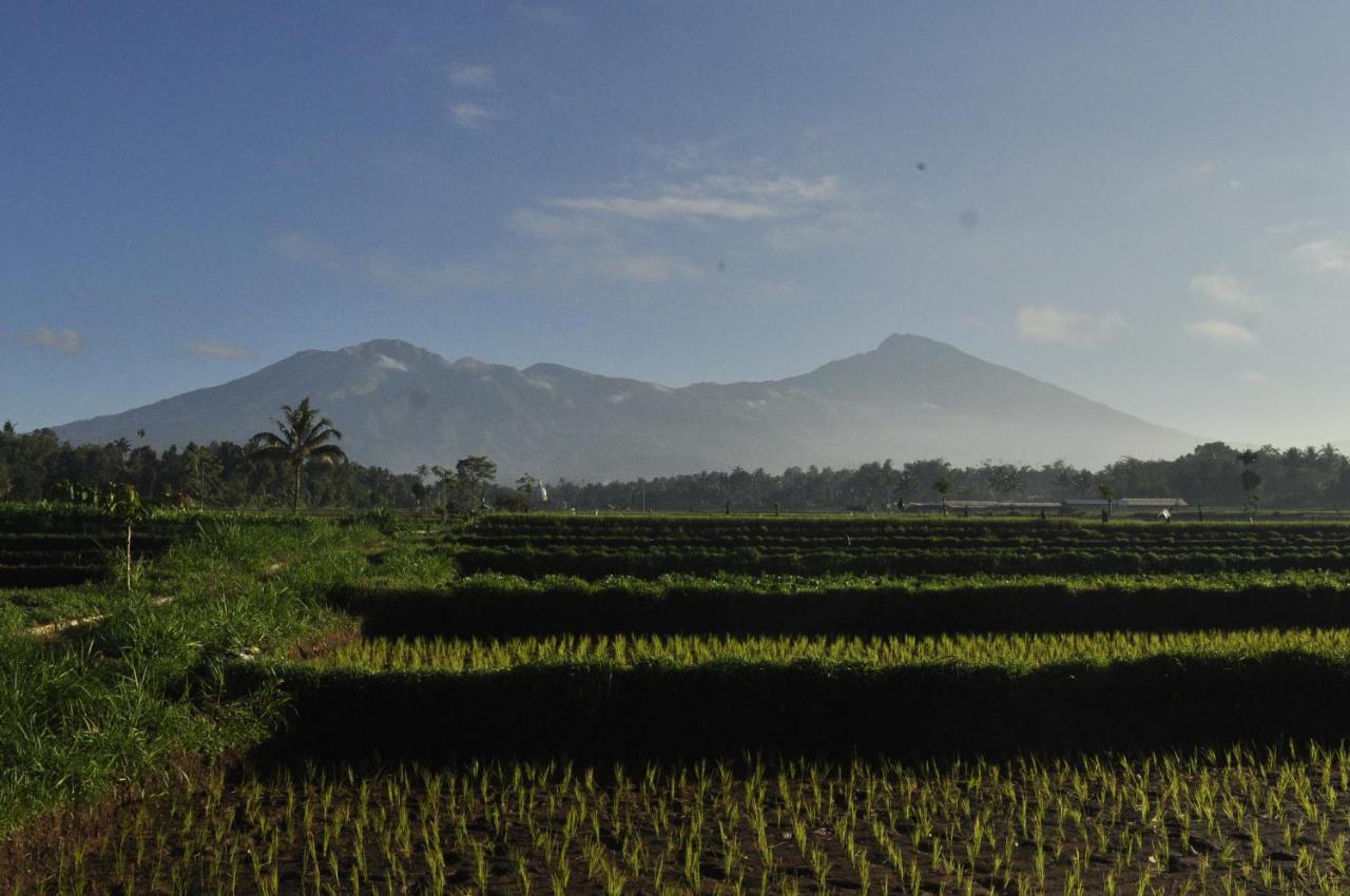 Mu Homestay Tetebatu Exterior foto